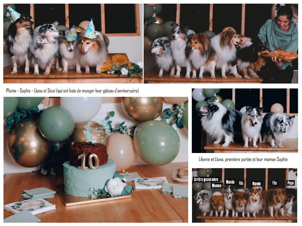 10 ans de l'élevage !